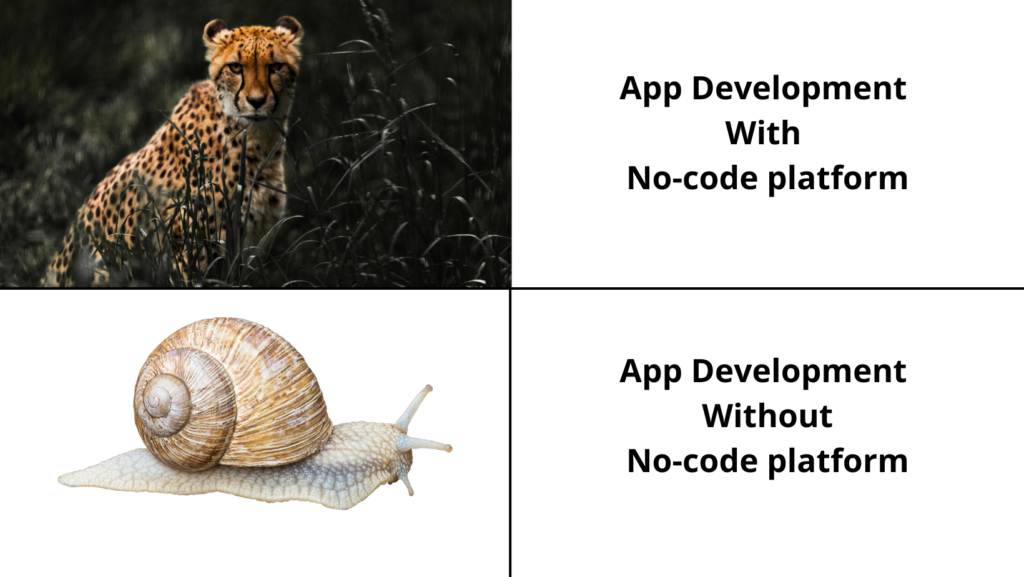 ap development with no-code platform vs without no-code platform.