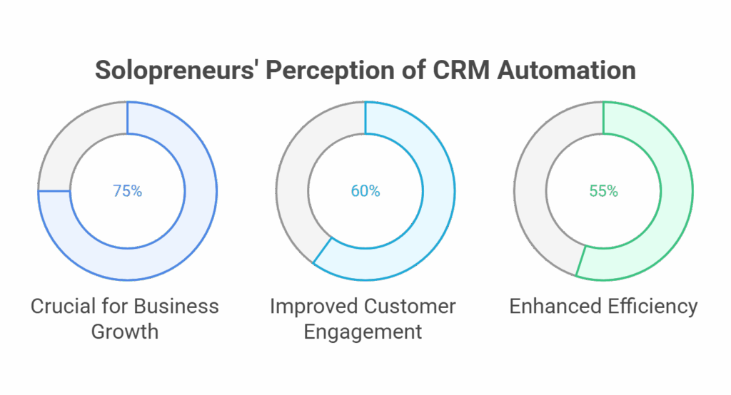 Solopreneurs perception on crm
